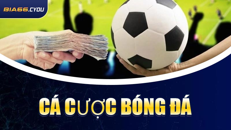 Cá Cược Bóng Đá