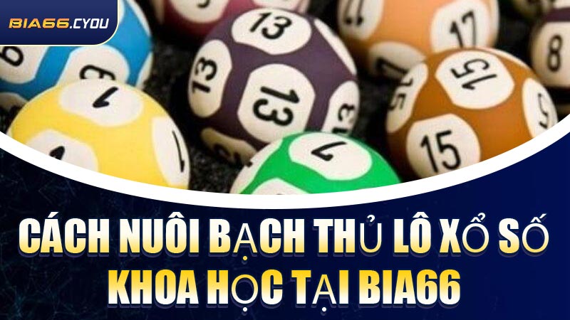 Cách nuôi bạch thủ lô xổ số khoa học tại BIA66
