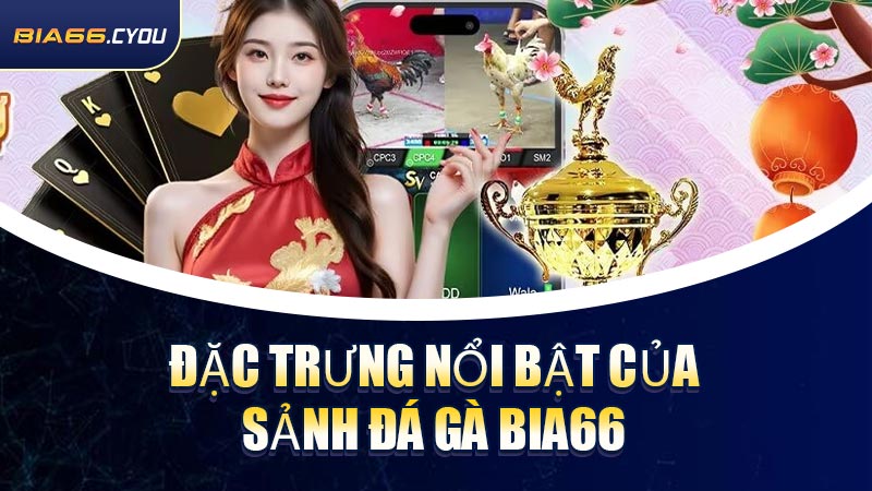 Đặc trưng nổi bật của sảnh Đá Gà BIA66