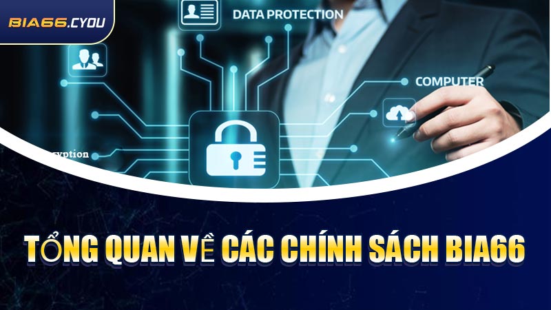 Tổng quan về các chính sách BIA66