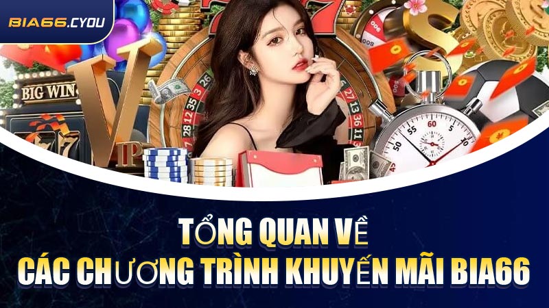 Tổng quan về các chương trình khuyến mãi BIA66