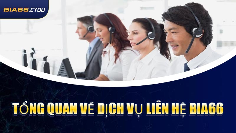 Tổng quan về dịch vụ Liên Hệ BIA66