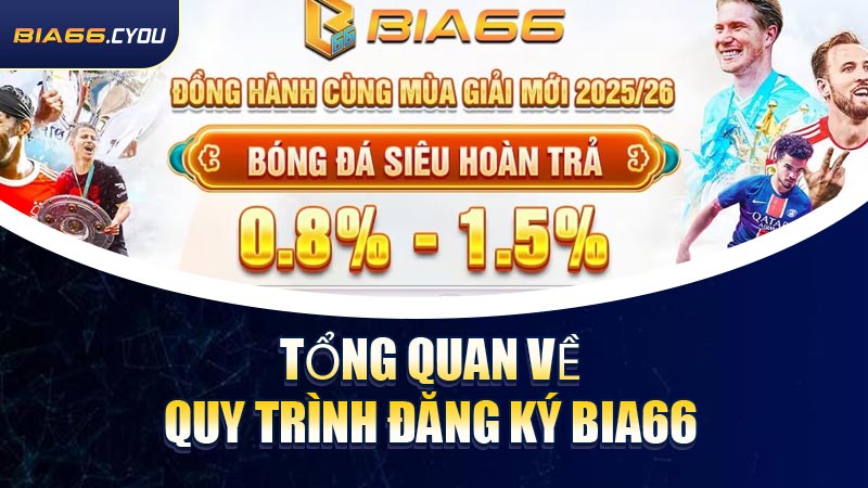 Tổng quan về quy trình Đăng Ký BIA66