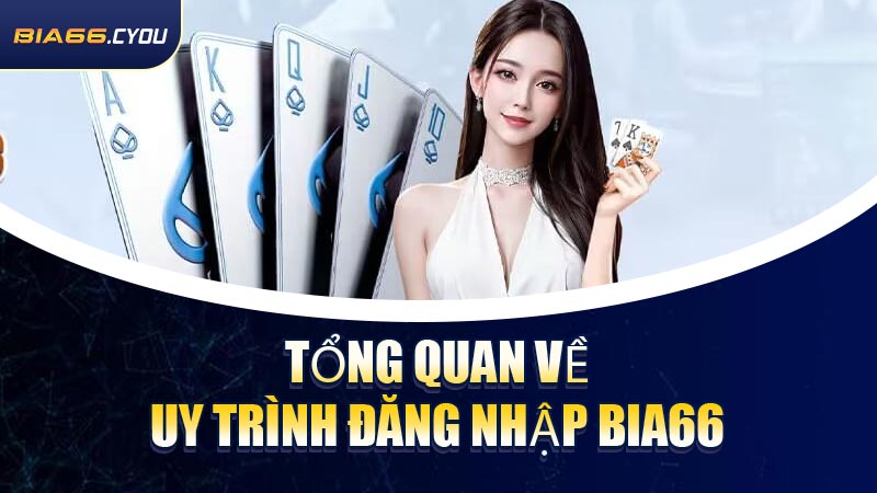 Tổng quan về quy trình Đăng Nhập BIA66